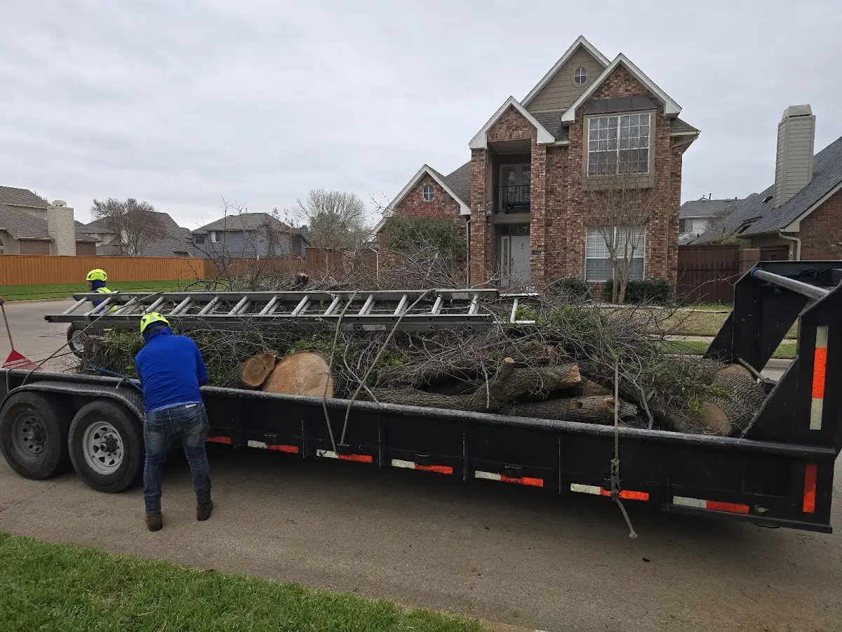 Expert Tree Pest Control with proper safety equipment in Centerville